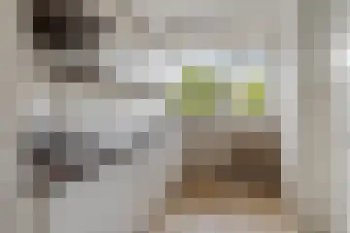 Livingstonelaan 760 Utrecht thumbnail 16