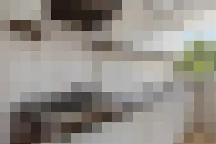 Livingstonelaan 760 Utrecht thumbnail 17