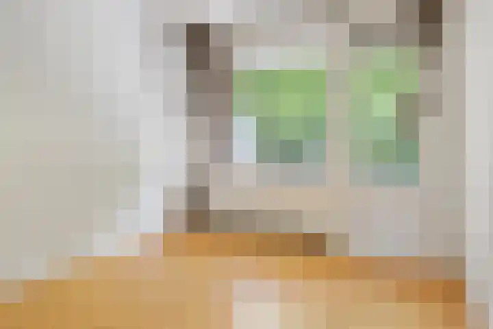 Livingstonelaan 760 Utrecht thumbnail 23