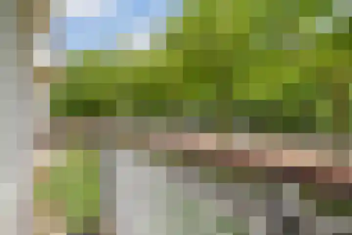 Livingstonelaan 760 Utrecht thumbnail 24