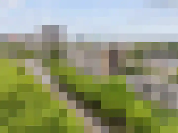 Livingstonelaan 760 Utrecht thumbnail 27