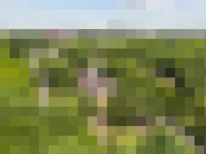Livingstonelaan 760 Utrecht thumbnail 28