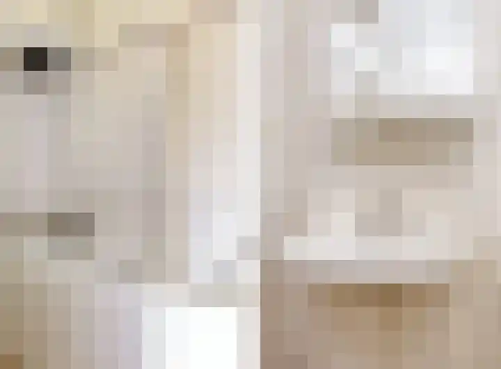 Livingstonelaan 762 Utrecht thumbnail 18