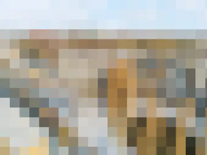 Livingstonelaan 762 Utrecht thumbnail 30