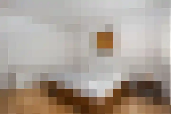 Livingstonelaan 766 Utrecht thumbnail 10