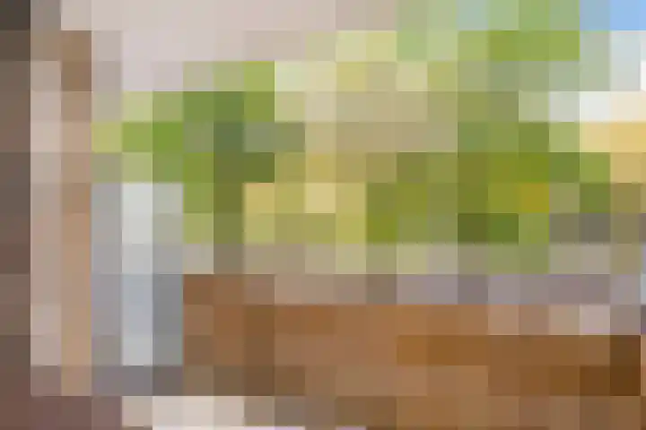 Livingstonelaan 766 Utrecht thumbnail 17