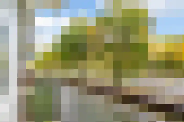 Livingstonelaan 766 Utrecht thumbnail 19