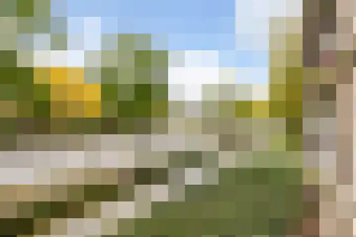 Livingstonelaan 766 Utrecht thumbnail 20