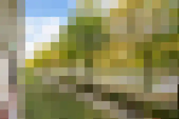 Livingstonelaan 766 Utrecht thumbnail 21