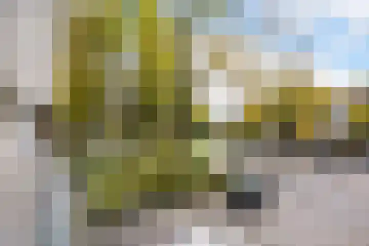Livingstonelaan 766 Utrecht thumbnail 26