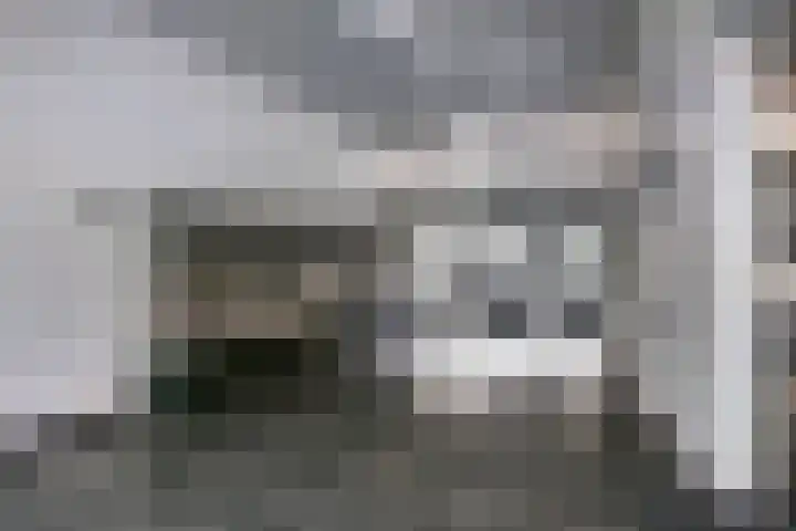 Livingstonelaan 766 Utrecht thumbnail 27