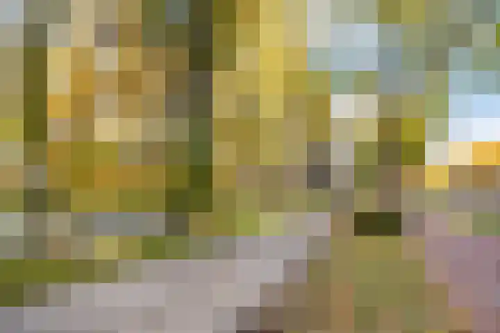 Livingstonelaan 766 Utrecht thumbnail 28