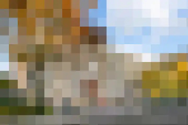 Livingstonelaan 766 Utrecht thumbnail 29