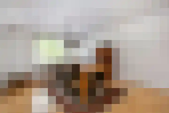 Livingstonelaan 766 Utrecht thumbnail 6