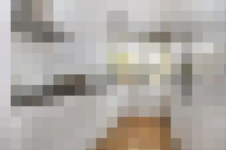 Livingstonelaan 766 Utrecht thumbnail 8
