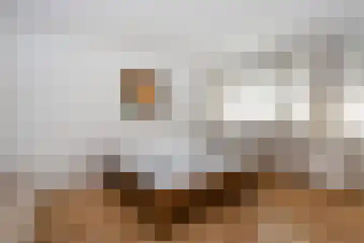 Livingstonelaan 766 Utrecht thumbnail 9