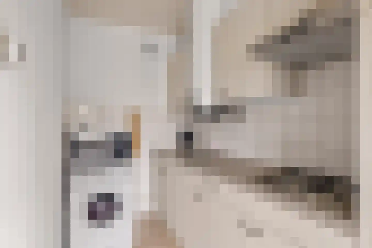 Livingstonelaan 782 Utrecht thumbnail 15