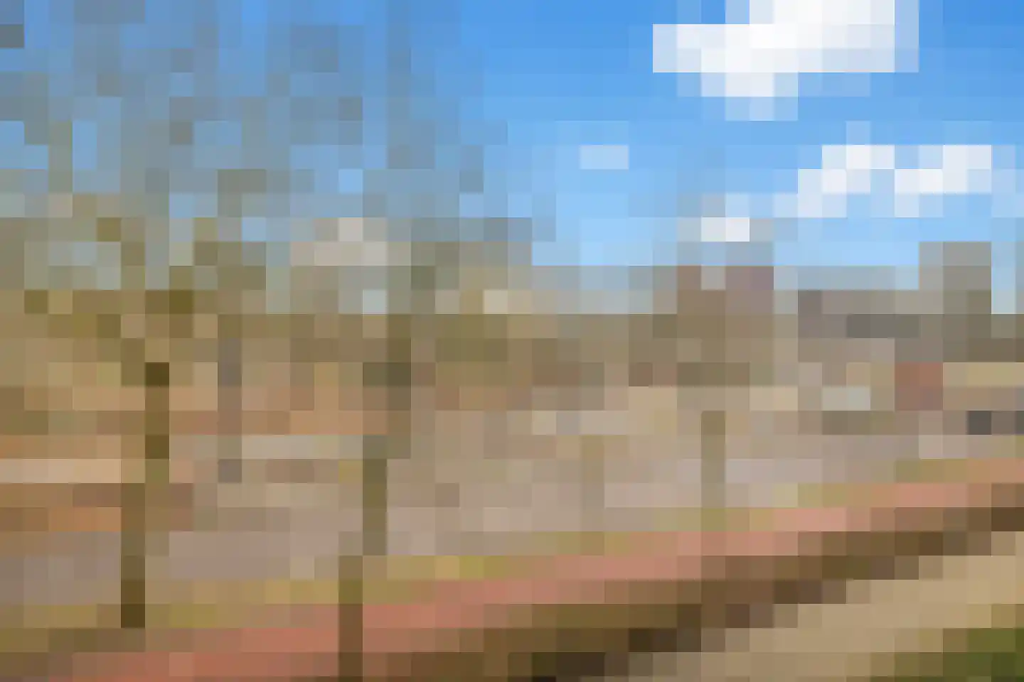 Livingstonelaan 782 Utrecht thumbnail 22