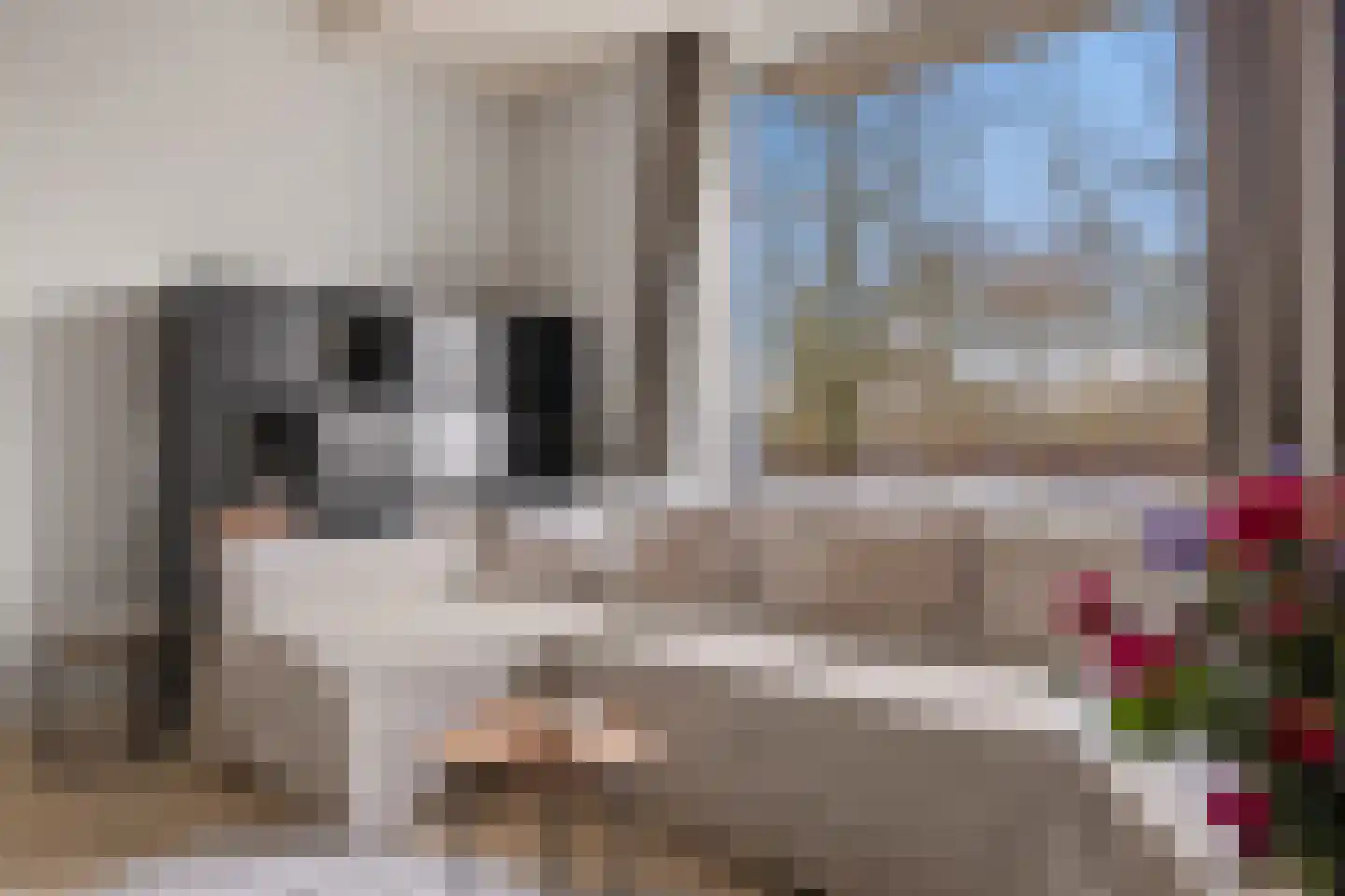 Livingstonelaan 782 Utrecht thumbnail 9