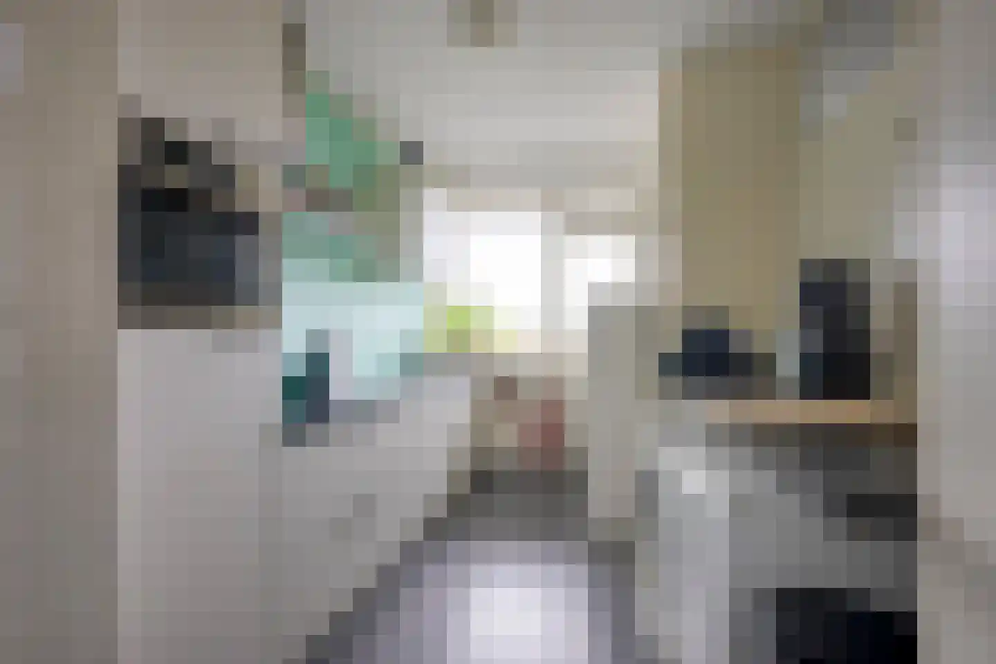 Livingstonelaan 820 Utrecht thumbnail 13