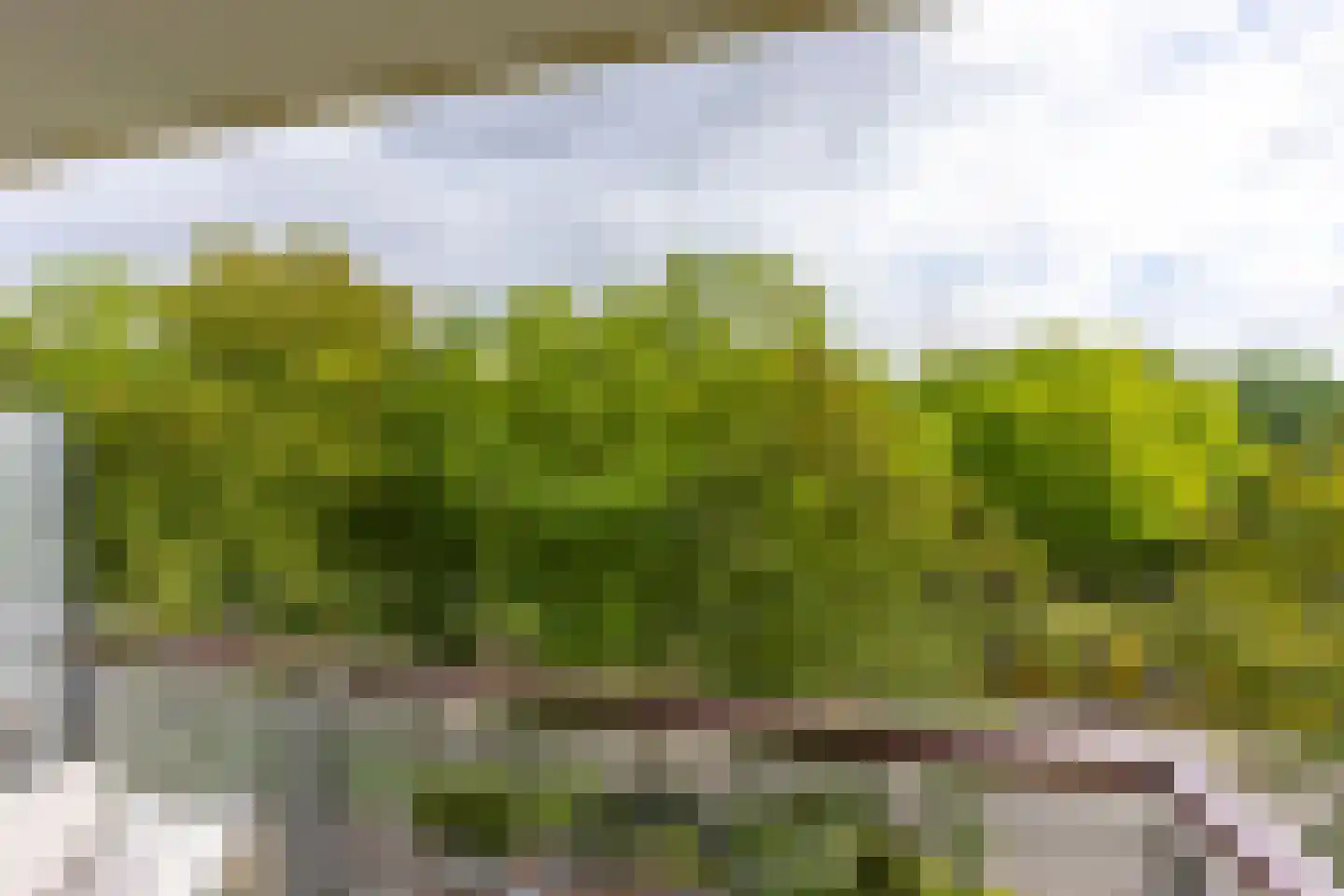 Livingstonelaan 820 Utrecht thumbnail 17
