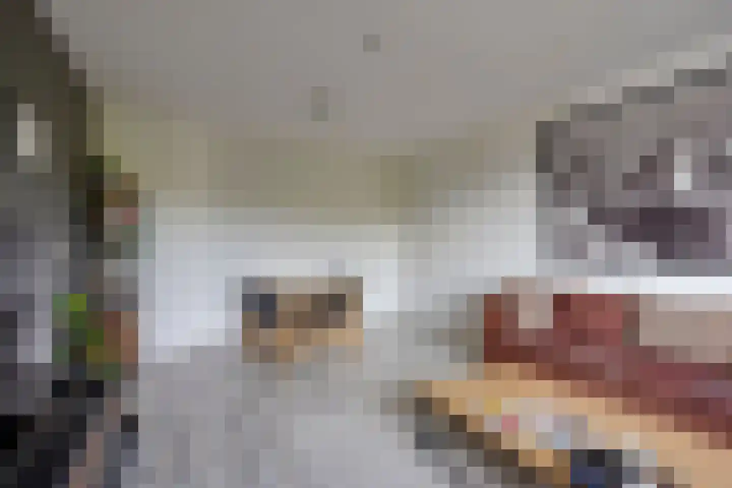 Livingstonelaan 820 Utrecht thumbnail 18