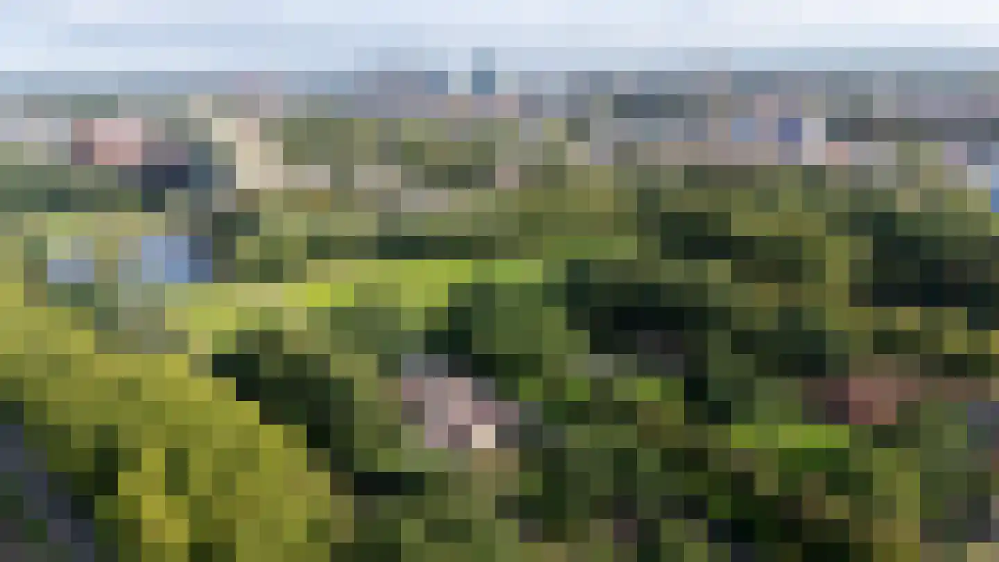 Livingstonelaan 820 Utrecht thumbnail 29