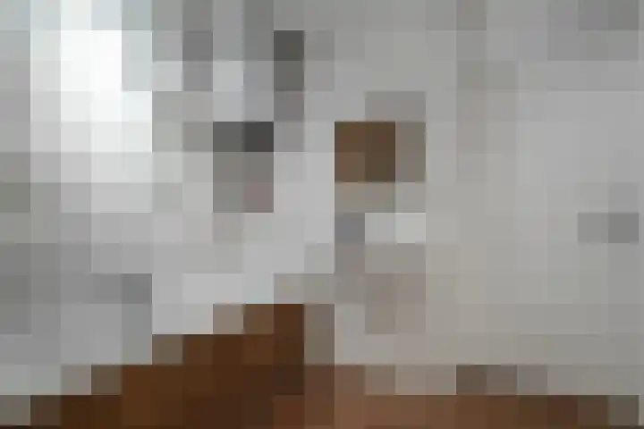 Livingstonelaan 828 Utrecht thumbnail 13