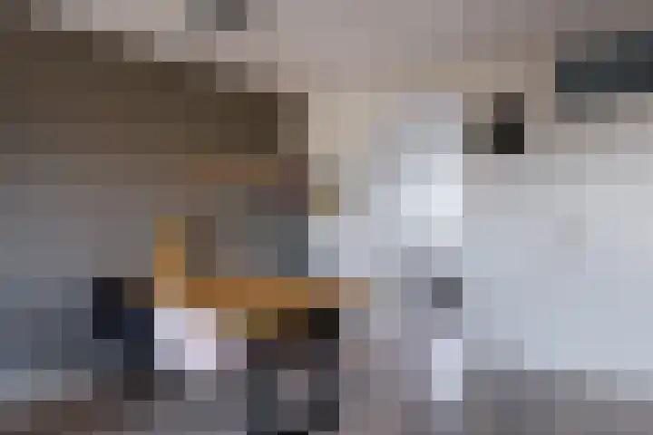 Livingstonelaan 828 Utrecht thumbnail 8