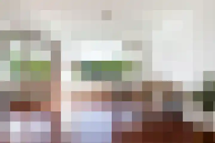 Livingstonelaan 840 Utrecht thumbnail 10