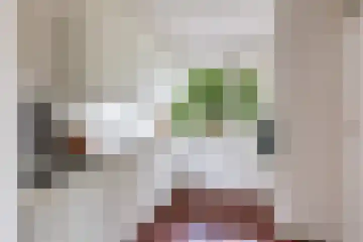 Livingstonelaan 840 Utrecht thumbnail 19