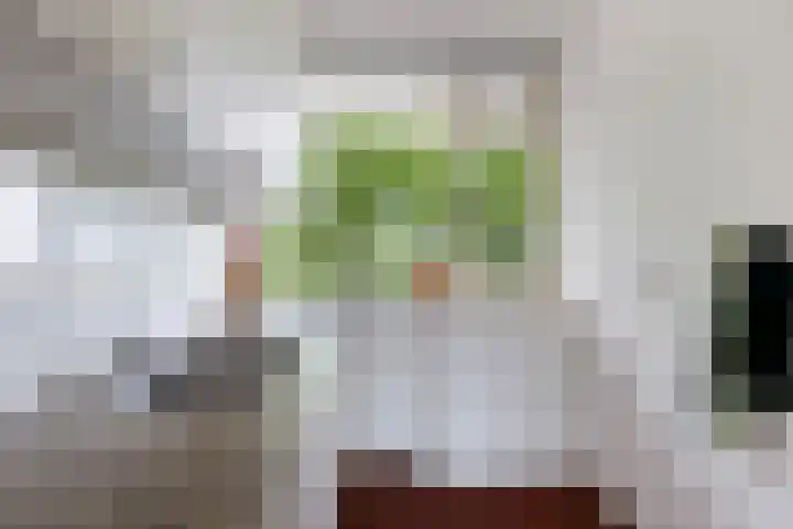 Livingstonelaan 840 Utrecht thumbnail 20