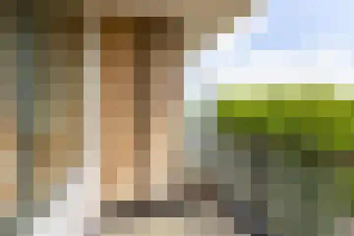Livingstonelaan 840 Utrecht thumbnail 28