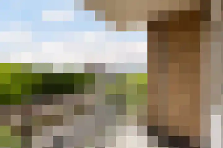 Livingstonelaan 840 Utrecht thumbnail 29