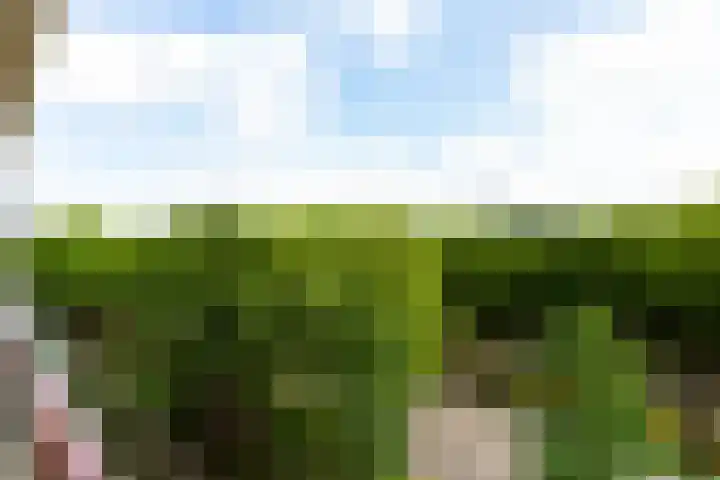 Livingstonelaan 840 Utrecht thumbnail 30