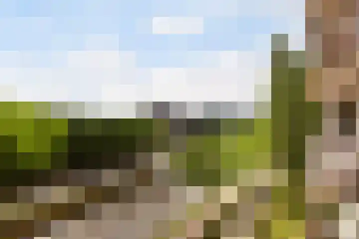 Livingstonelaan 840 Utrecht thumbnail 31
