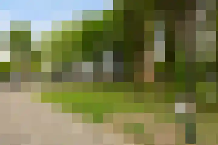 Livingstonelaan 840 Utrecht thumbnail 32