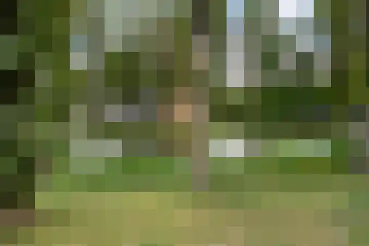 Livingstonelaan 840 Utrecht thumbnail 33