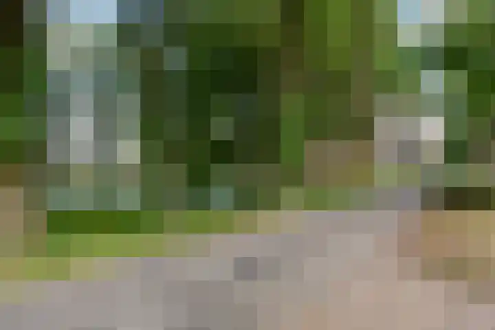 Livingstonelaan 840 Utrecht thumbnail 34