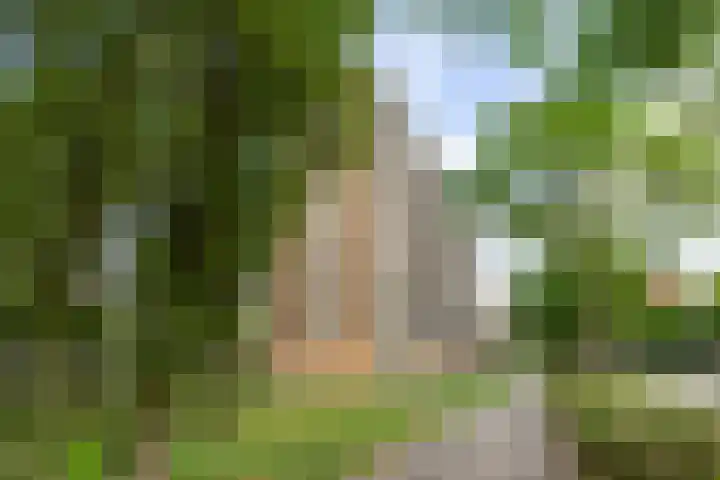 Livingstonelaan 840 Utrecht thumbnail 35