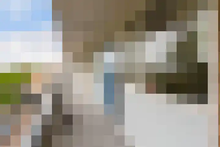 Livingstonelaan 840 Utrecht thumbnail 4