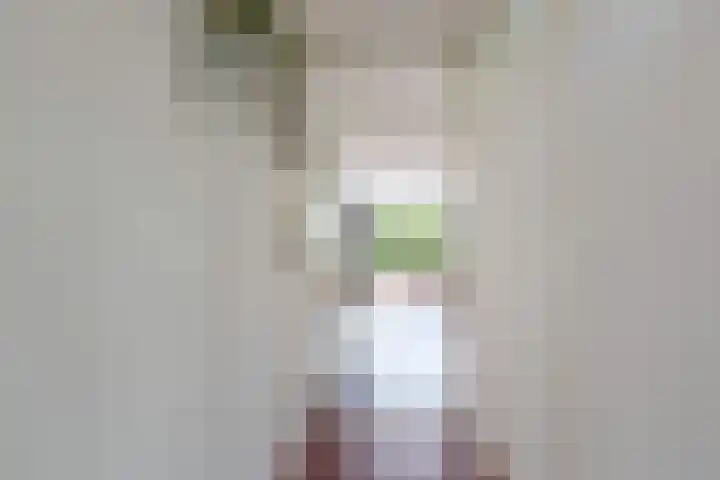 Livingstonelaan 840 Utrecht thumbnail 6