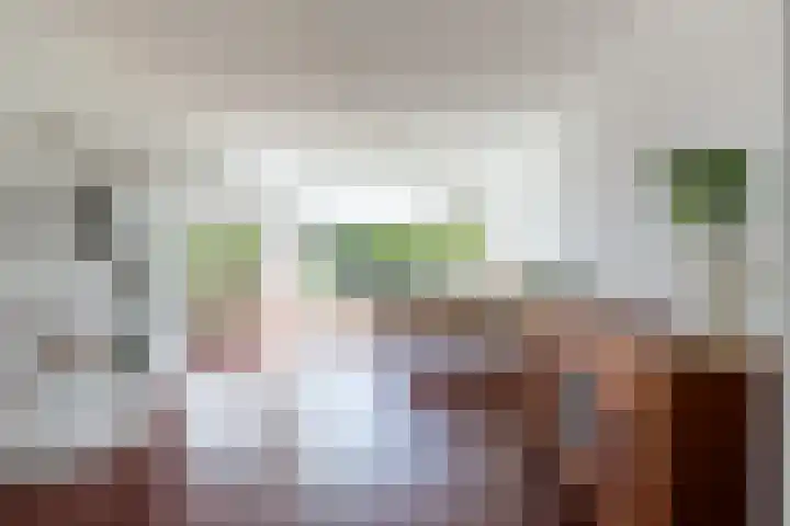 Livingstonelaan 840 Utrecht thumbnail 8