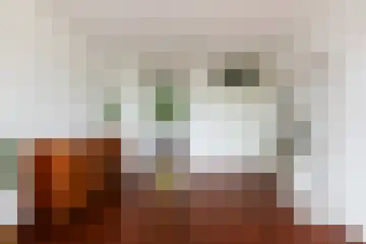 Livingstonelaan 840 Utrecht thumbnail 9