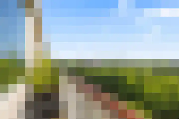 Livingstonelaan 926 Utrecht thumbnail 12