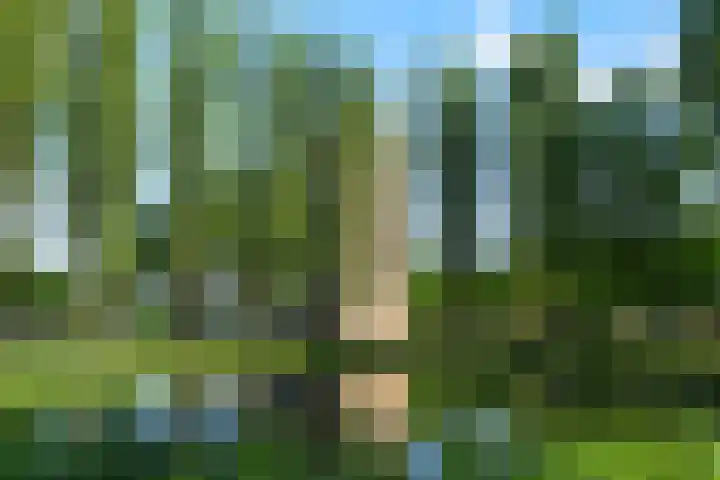 Livingstonelaan 926 Utrecht thumbnail 26