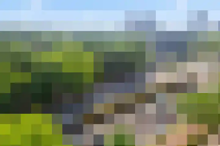 Livingstonelaan 926 Utrecht thumbnail 27