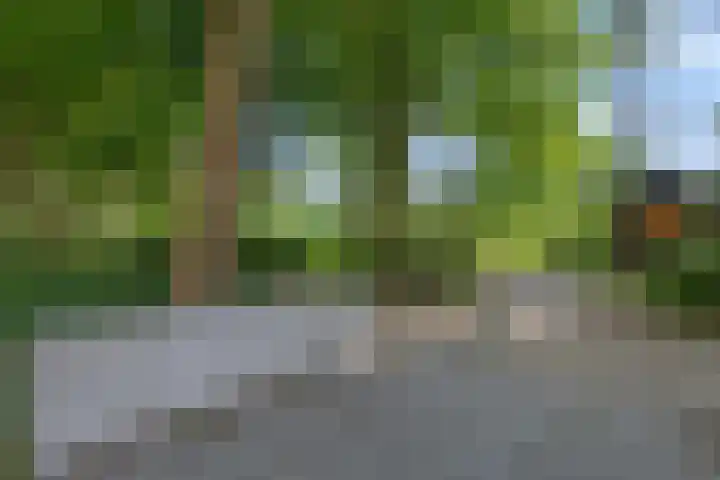 Livingstonelaan 926 Utrecht thumbnail 28