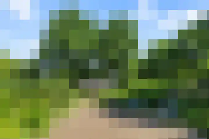 Livingstonelaan 926 Utrecht thumbnail 29