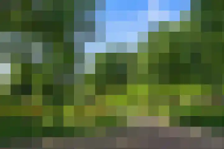 Livingstonelaan 926 Utrecht thumbnail 30